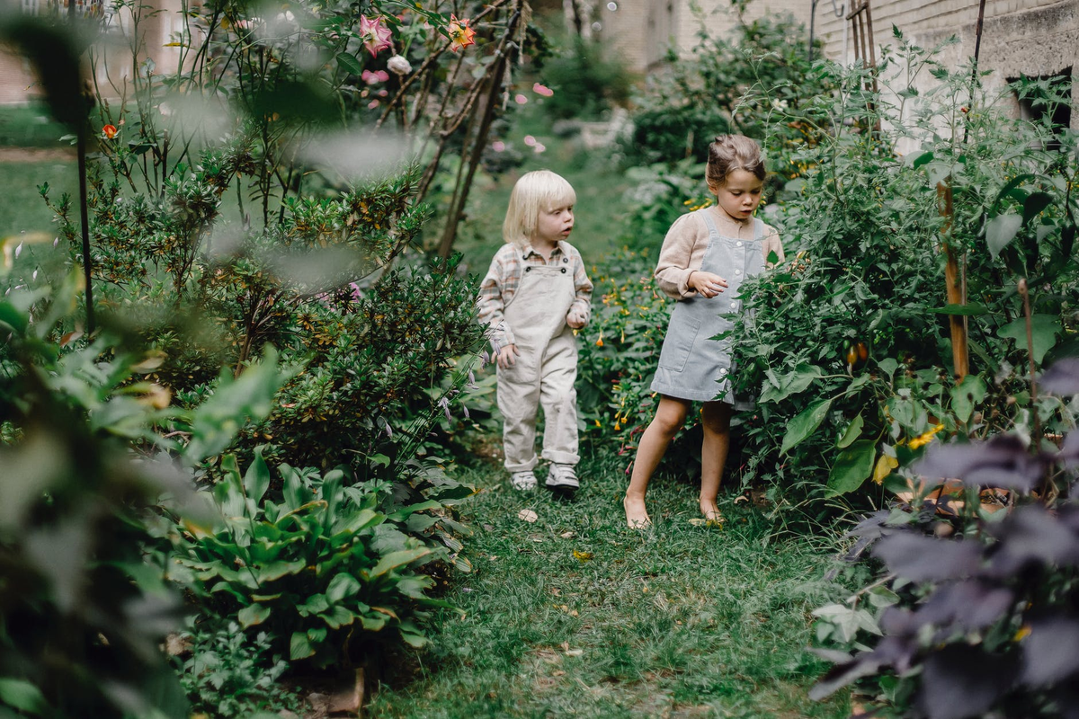 scale_1200 (21).png